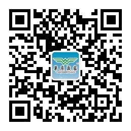聯(lián)系方式